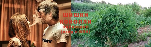 СК Абинск