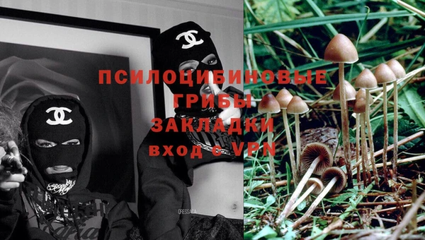 прущая мука Абаза