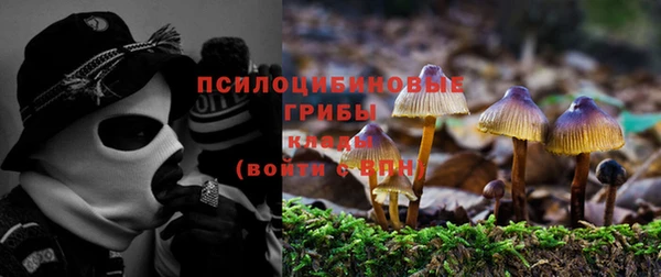 кокаин премиум Алексин